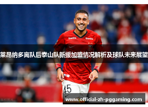 莱昂纳多离队后泰山队新援加盟情况解析及球队未来展望