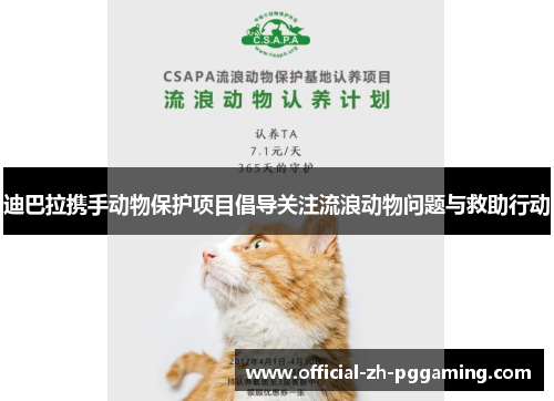 迪巴拉携手动物保护项目倡导关注流浪动物问题与救助行动