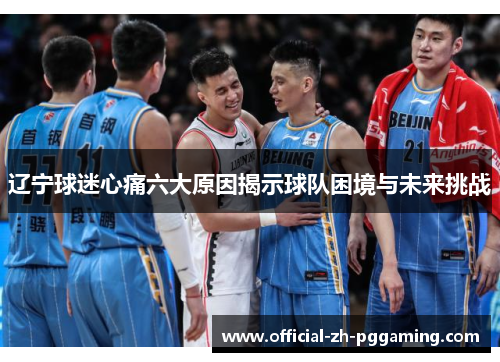 辽宁球迷心痛六大原因揭示球队困境与未来挑战
